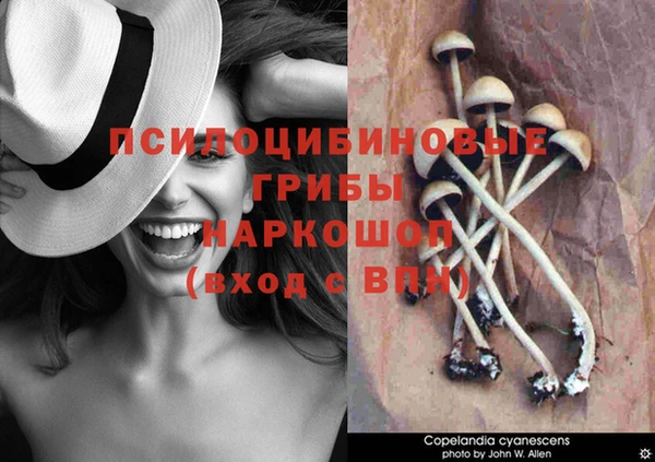 бутират Куйбышев