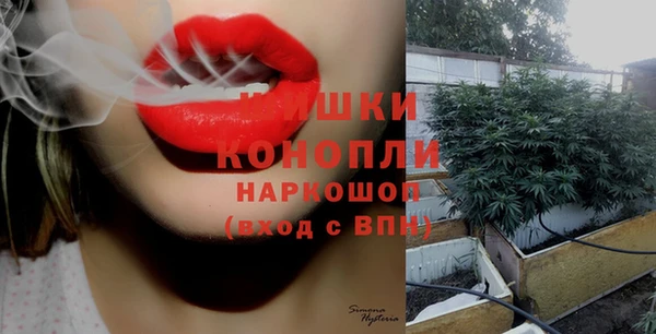 скорость Ладушкин