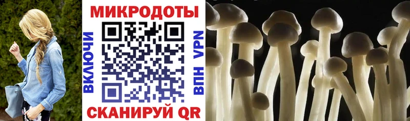 Галлюциногенные грибы GOLDEN TEACHER  Мышкин 