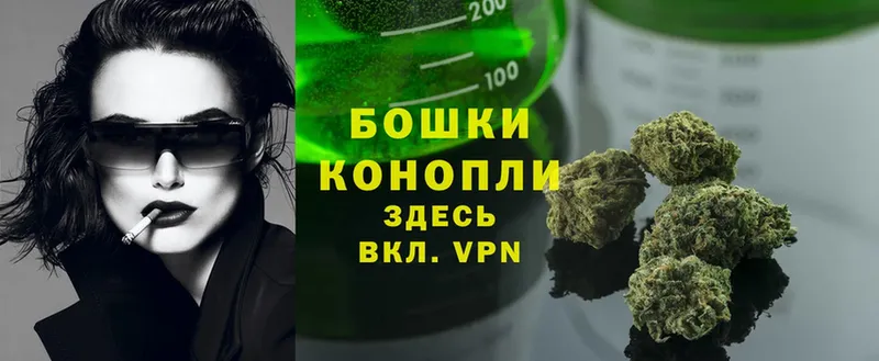 Шишки марихуана SATIVA & INDICA  где купить наркоту  Мышкин 